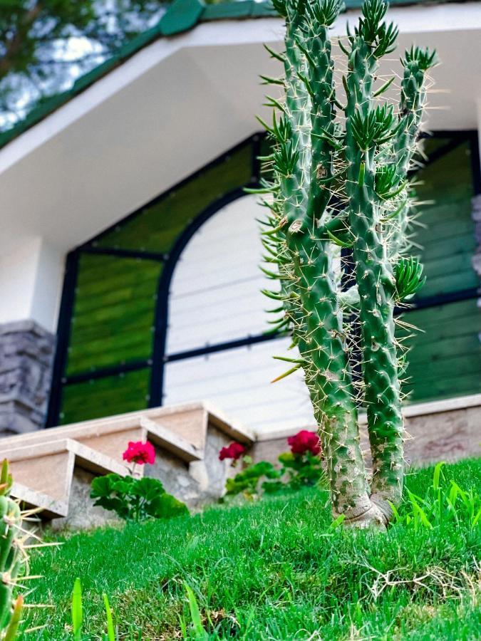 Beacon Hill Suites اكياكا المظهر الخارجي الصورة
